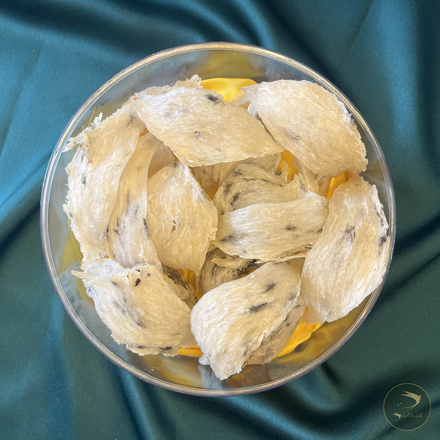 Tổ Yến Thô gân